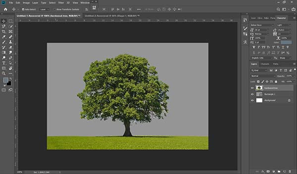 How To Cut Out An Image In Photoshop